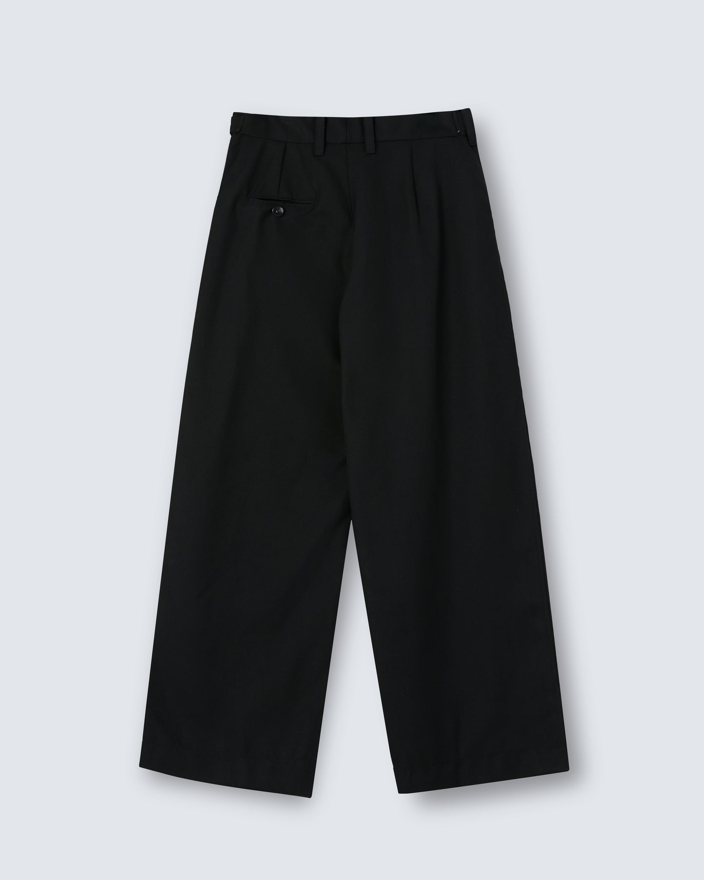 Pleated Wide Trousers