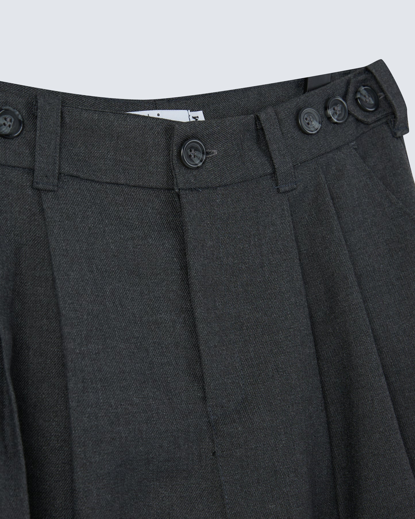 Pleated Wide Trousers